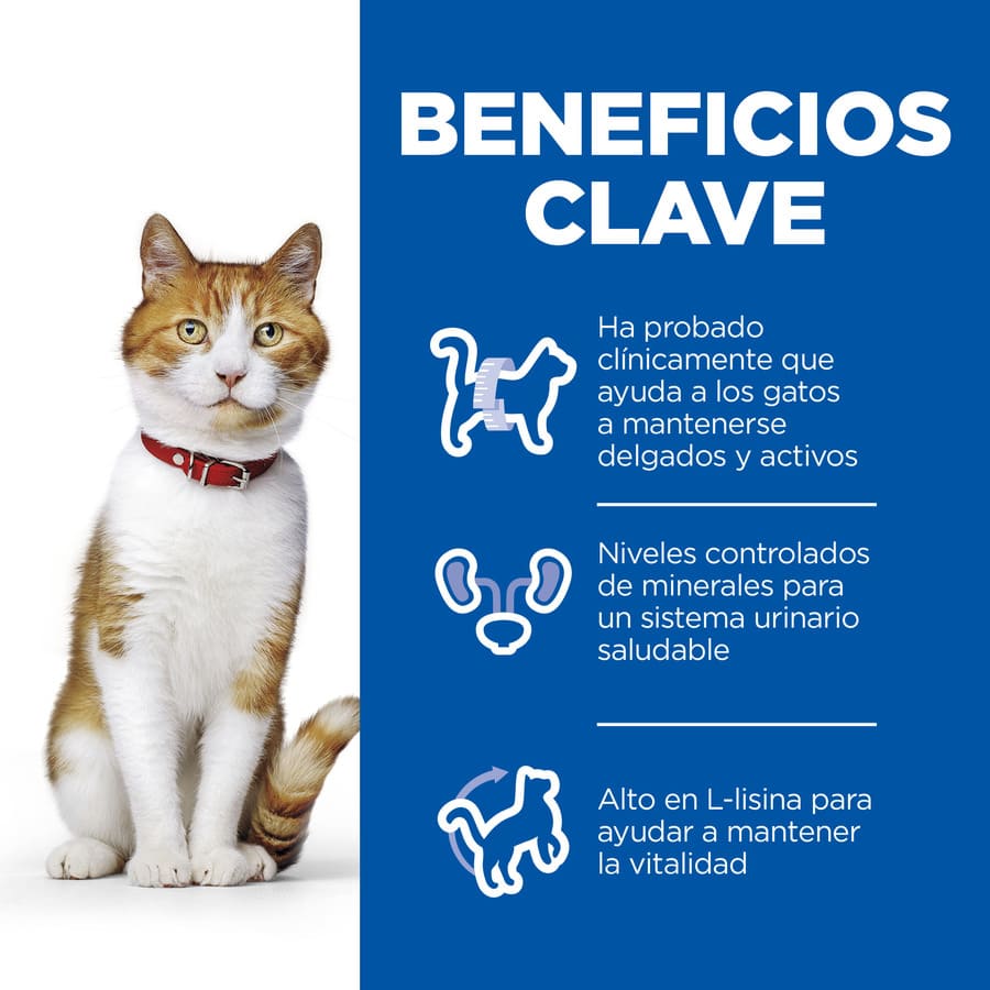 Ração para gatos Hill's Science Plan, esterilizada, para patos jovens adultos.