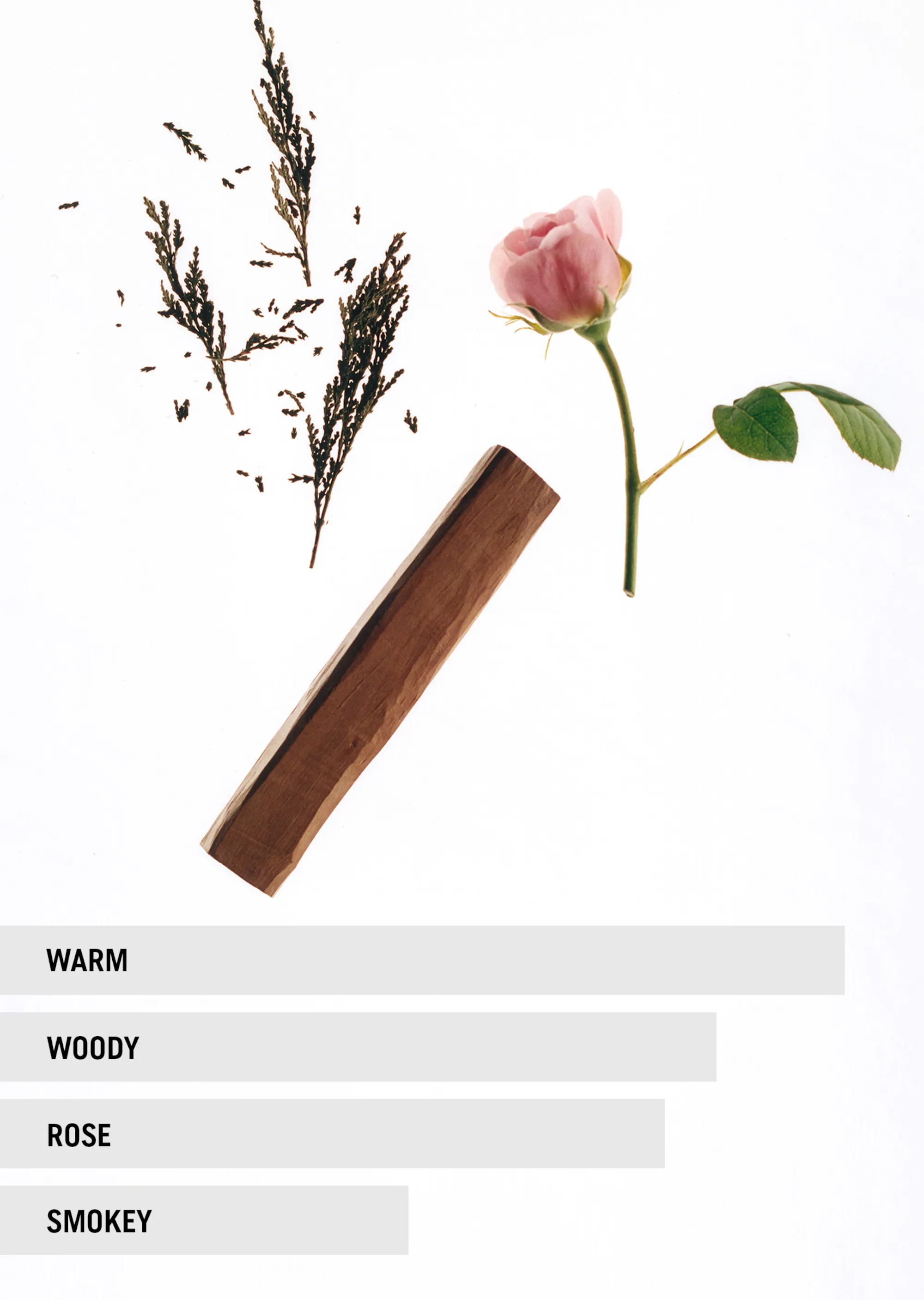 Eau de Parfum EARTH Unisex 10 ml