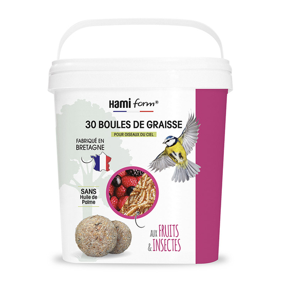 Seau découverte boules de graisse (insectes + fruits) x30