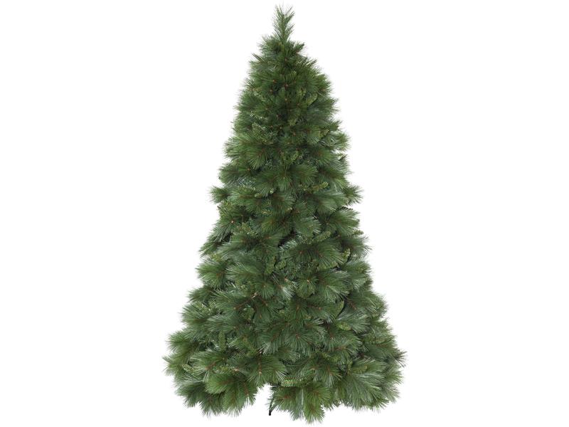 Star Trading Weihnachtsbaum Cembra, 2.4 m, Grün Weihnachtsbaum ohne Licht