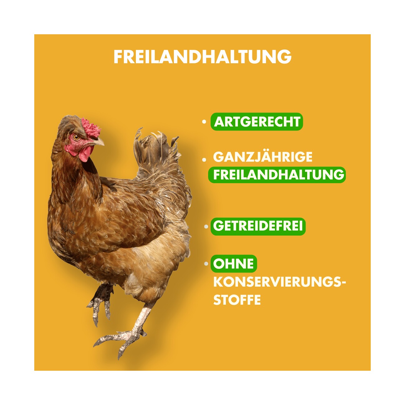 Irish Pure Adult - Huhn + Gemüse & Kelp 1,5 kg