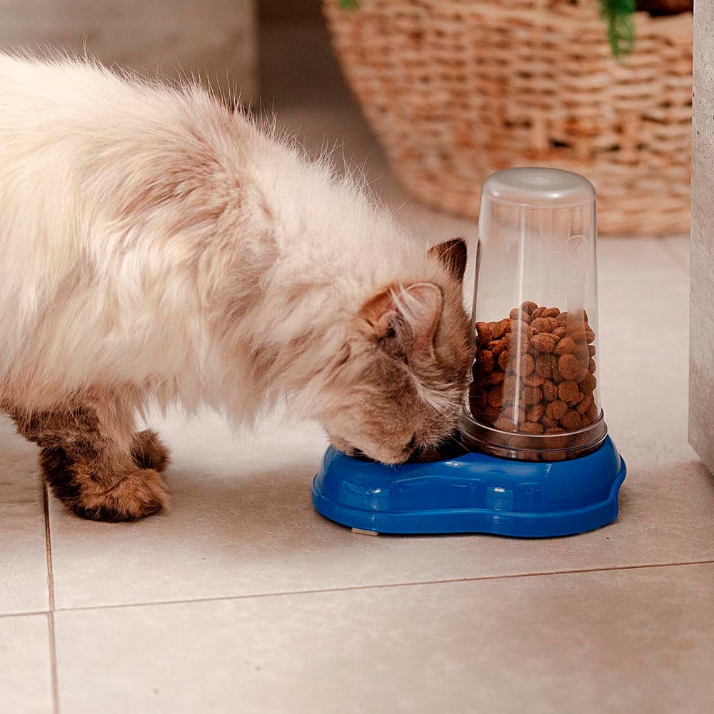 Ferplast distributeur d'eau ou nourriture pour chats et chiens azimut 600 dispenser pour animaux mangeoire pour croquettes