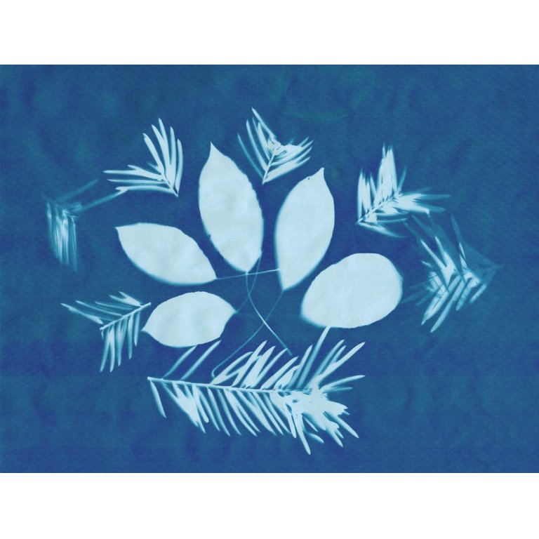 Solar-Fotopapier