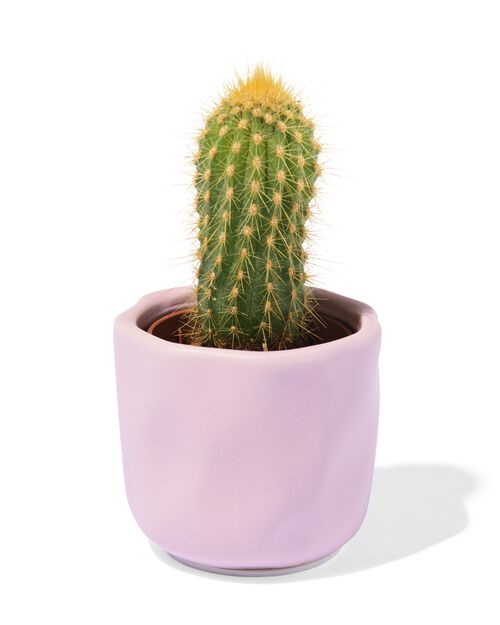 pot de fleurs Ø 6 x 6 cm céramique lilas