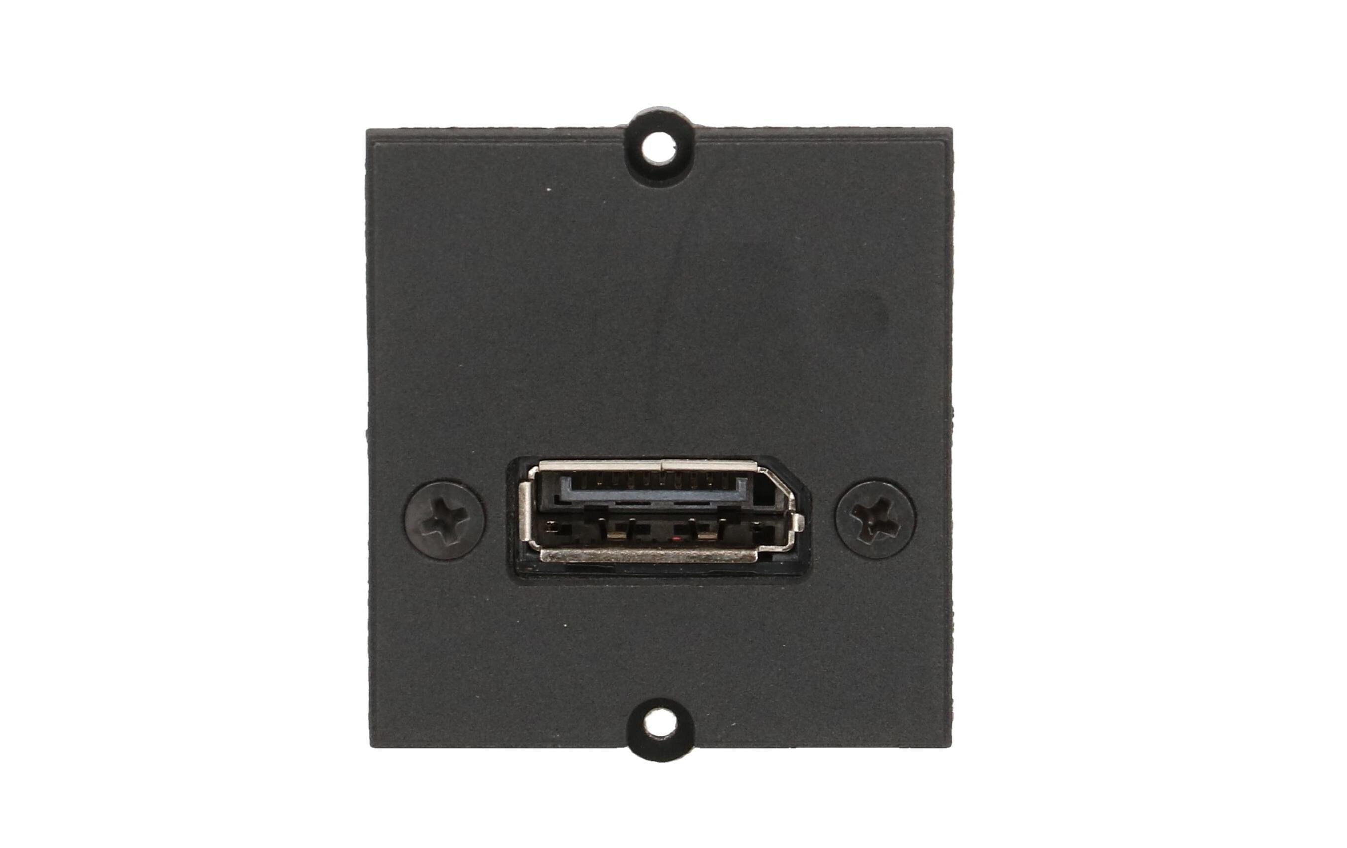 Custom Modul 1x DisplayPort1x DisplayPort