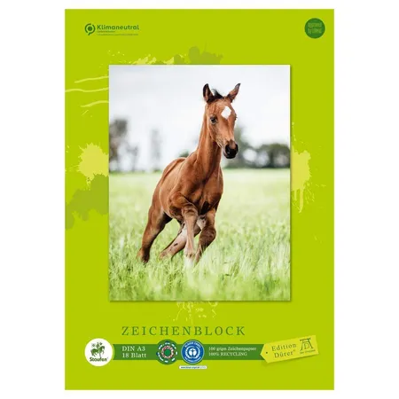 Green Zeichenblock A3 18 Blatt 100g/qm 4 Motive