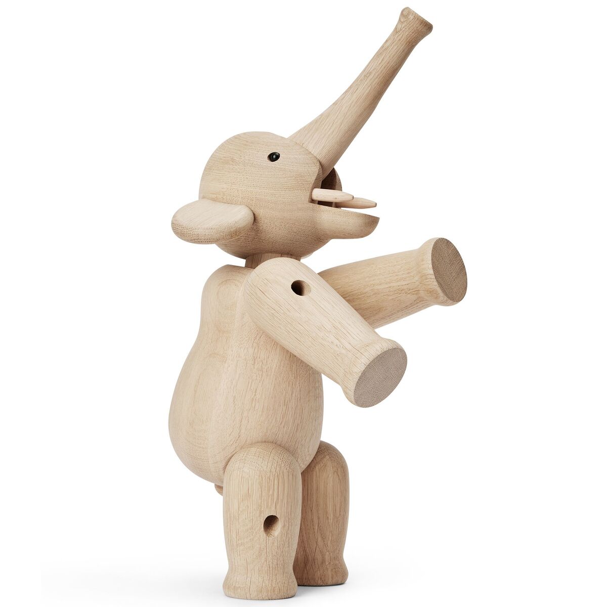 Elefant stor, eik