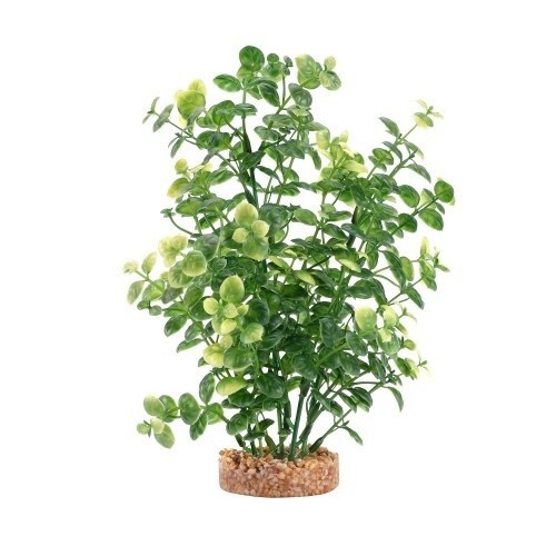 Planta artificial de bacopa, 20 cm, cor verde.
