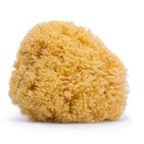 Suavinex Esponja Natural Grande