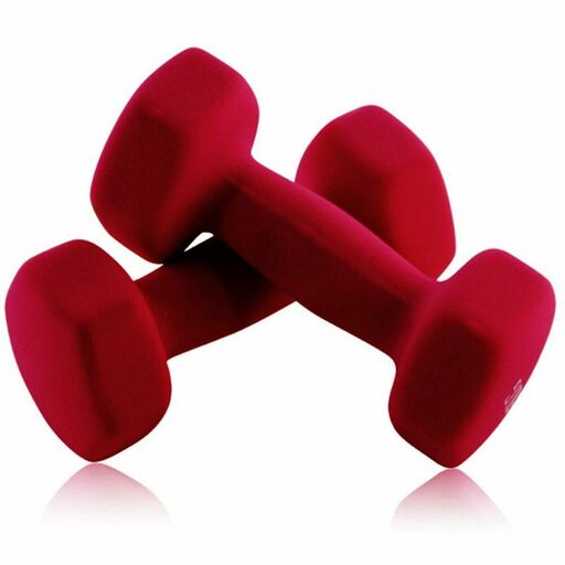 Halteres Joluvi 236464-099 2,5 kg