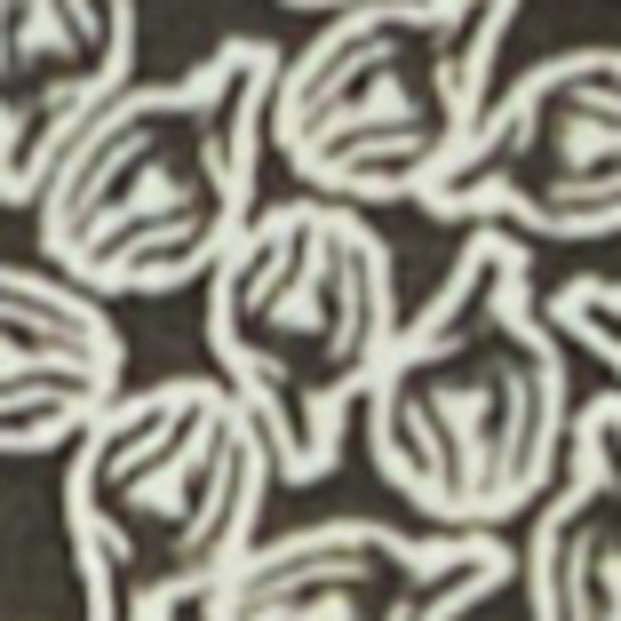 Hemd regular mit Allover-Print