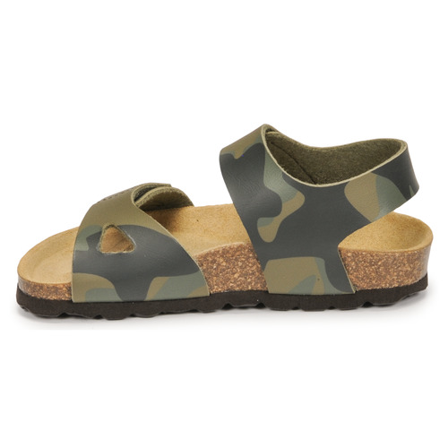 Citrouille et Compagnie - BELLI JOE - Camouflage