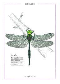 Wunderwelt Natur