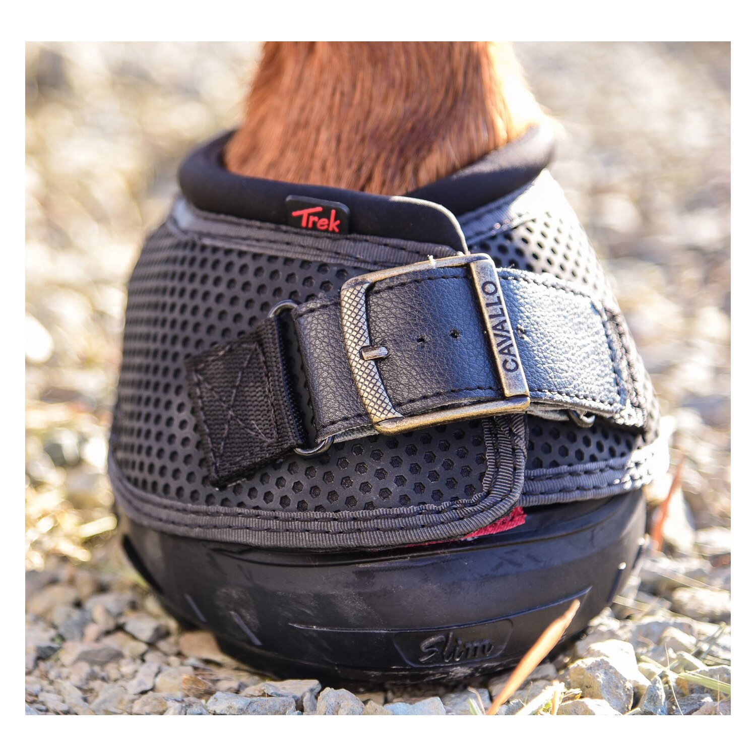 Cavallo Horse and Rider Schnalle  - schwarz - CLB/ simple