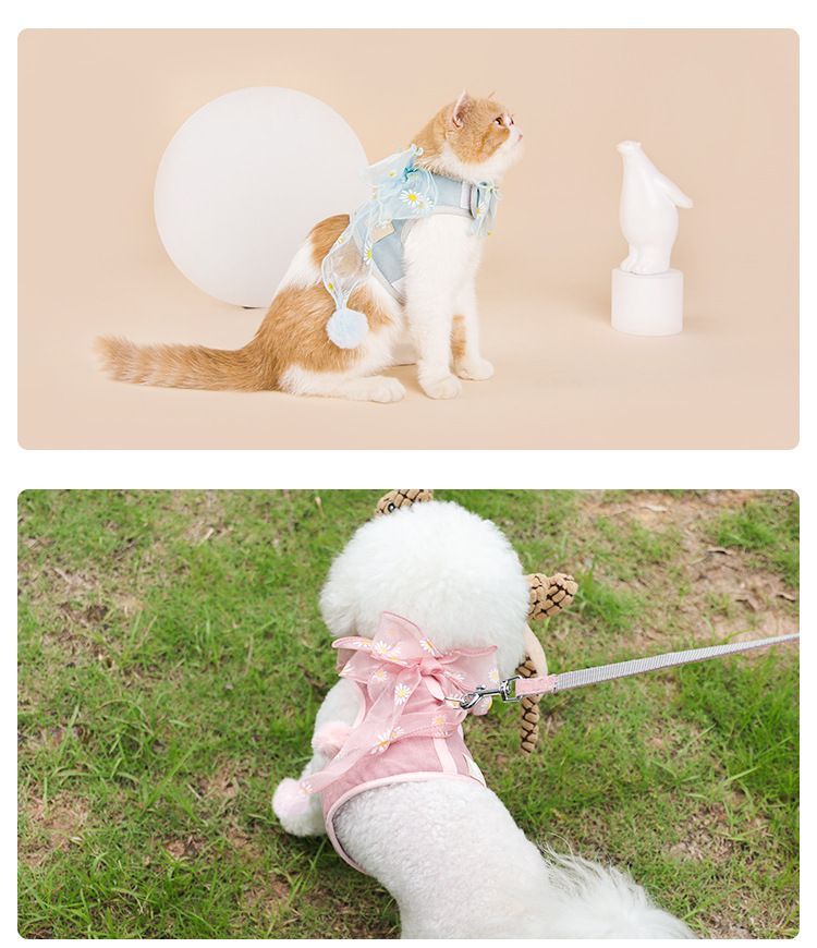 2 nachten - Bow Pet Harness