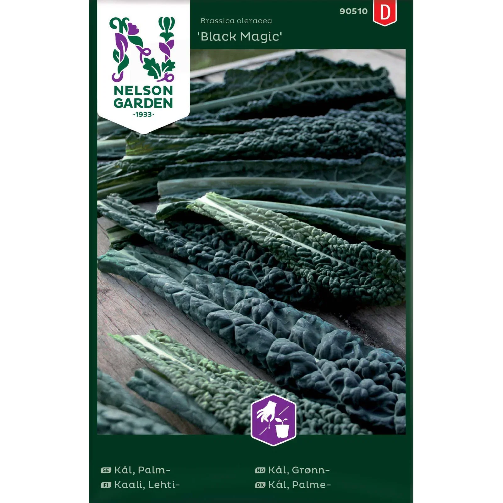 Brassica oleracea 'Black Magic' Grønnkål 'Black Magic'