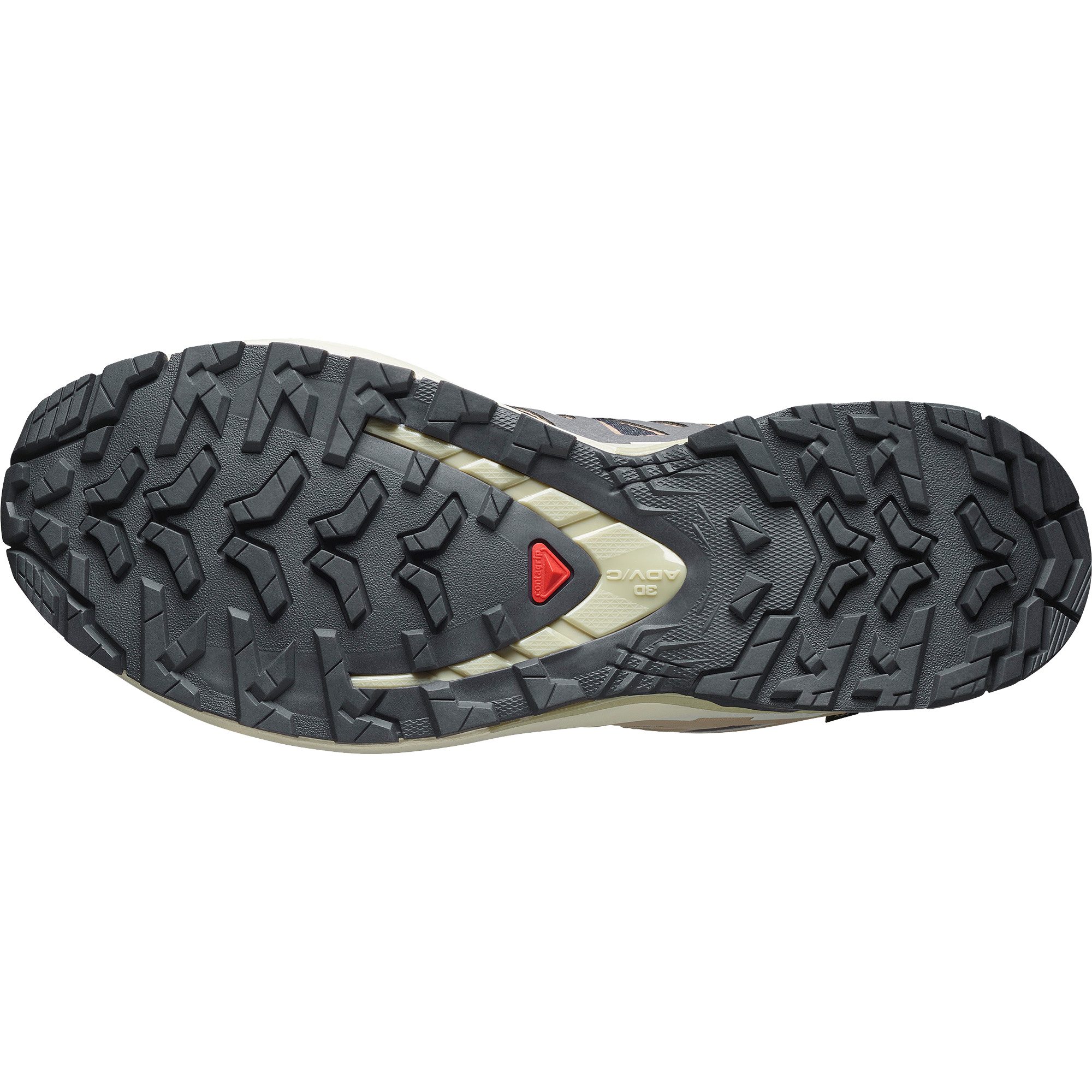 Salomon XA Pro 3D V9 GORE-TEX® Trailrunningschuhe Damen nine iron