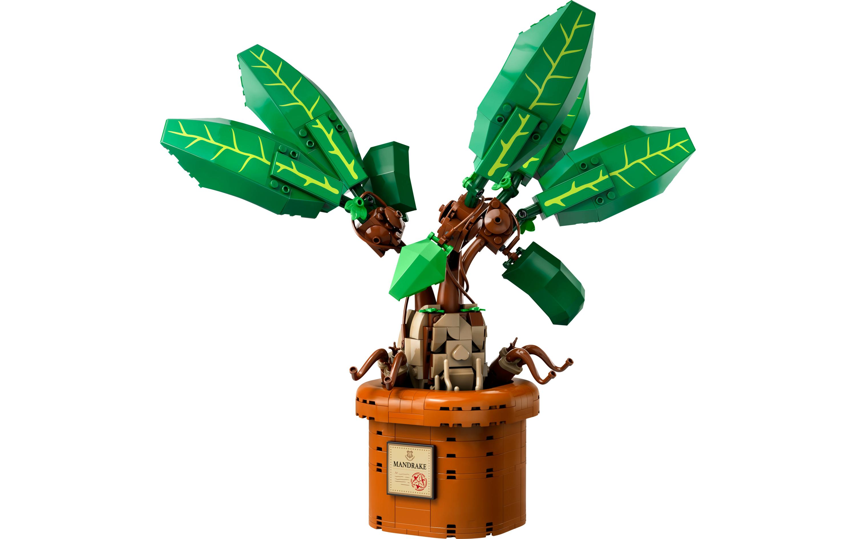 Harry Potter Zaubertrankpflanze: Alraune 76433Bewegliche Pflanze von Wizarding World