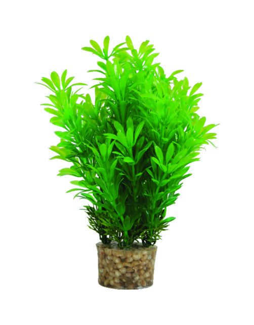 Zolux Kunstplanten Op Grind - Aquarium - Kunstplant - Groen per stuk Medium