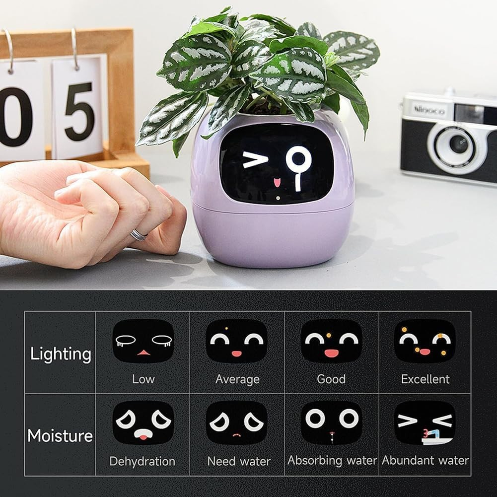 (9x9cm) Intelligenter Mini USB Blumentopf Home Deko Pflanzen Übertopf mit 40 Emotionen / LCD Display inkl. Kieselsteine (iOS/Android) - Ivy / Rosa