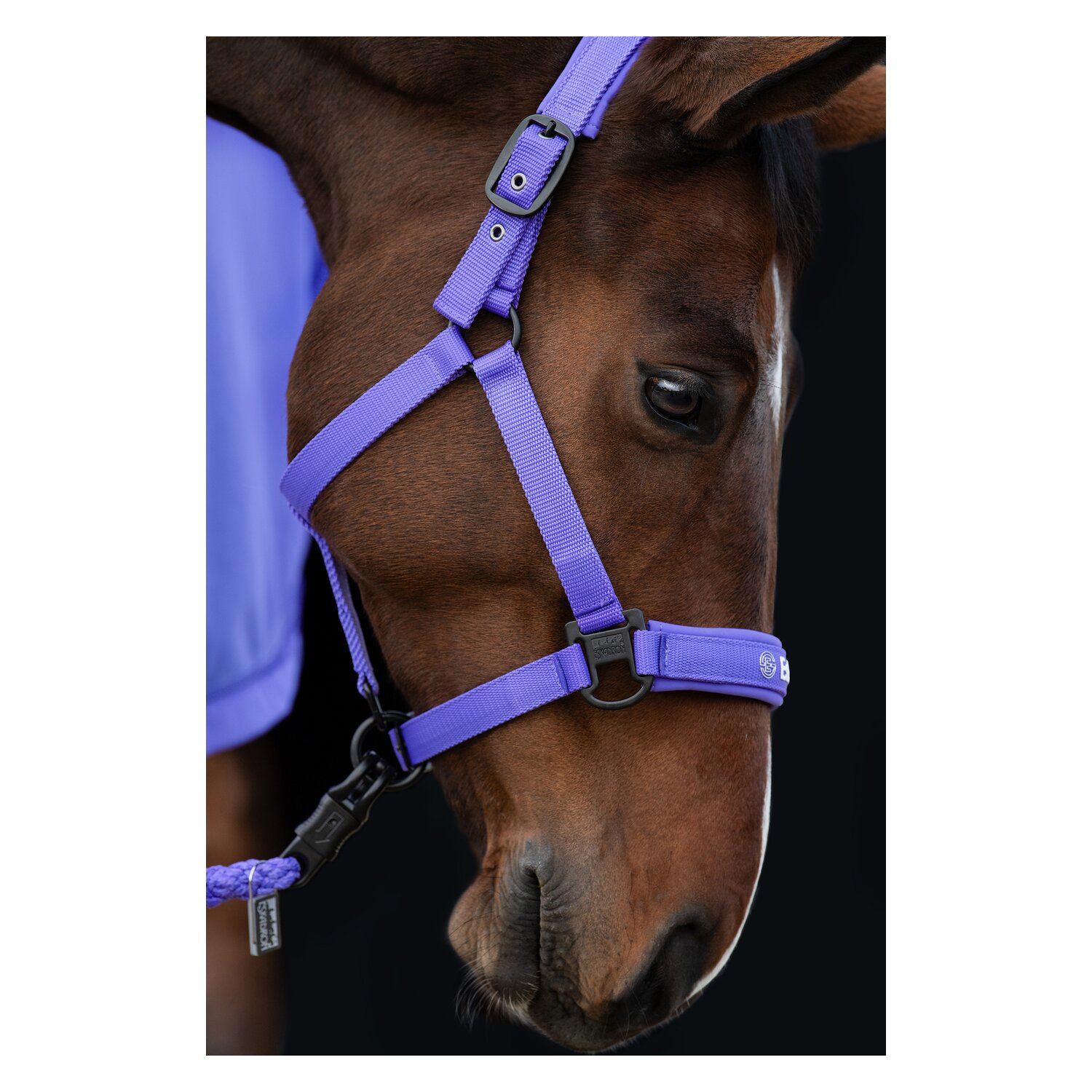 ESKADRON Dynamic Halfter Double Pin  - purple