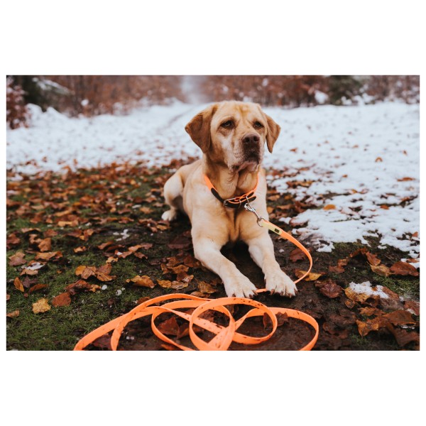 Hunter - Laisse de traîne Convenience - Laisse pour chien