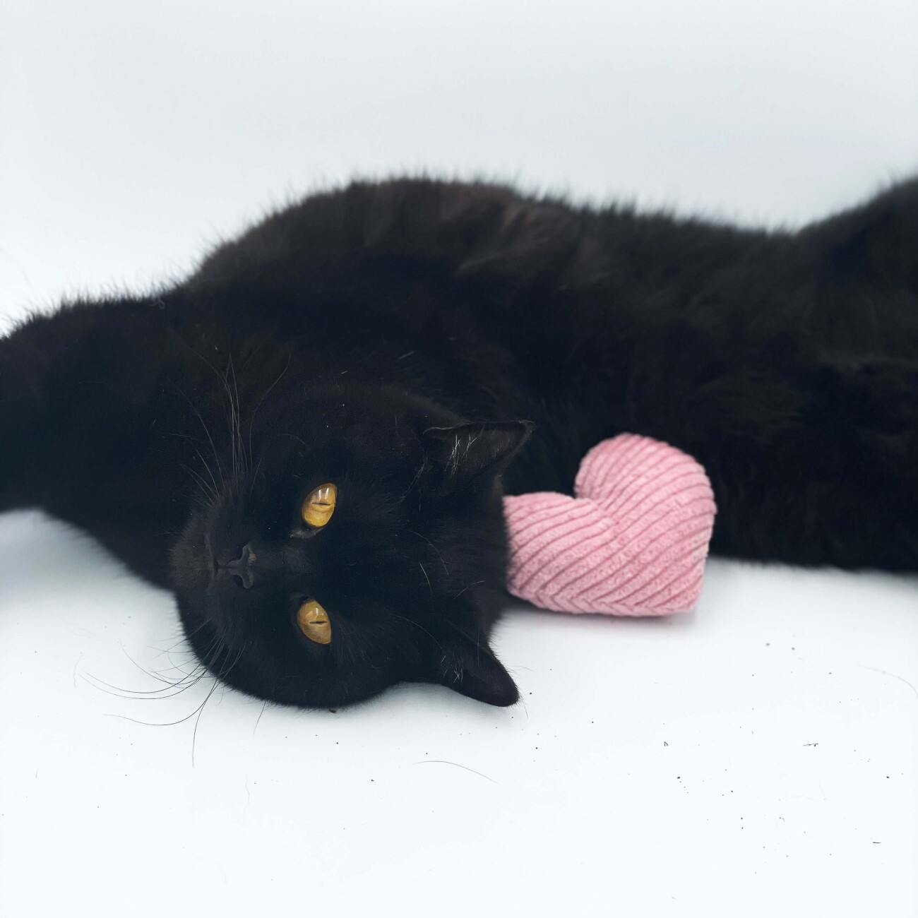 The Catery Katzenminze Kissen Herz