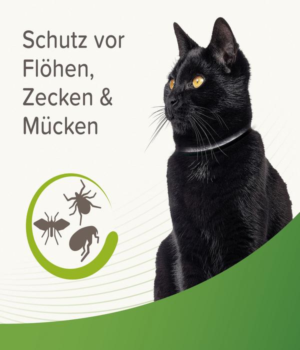 beaphar Zecken- und Flohschutzband für