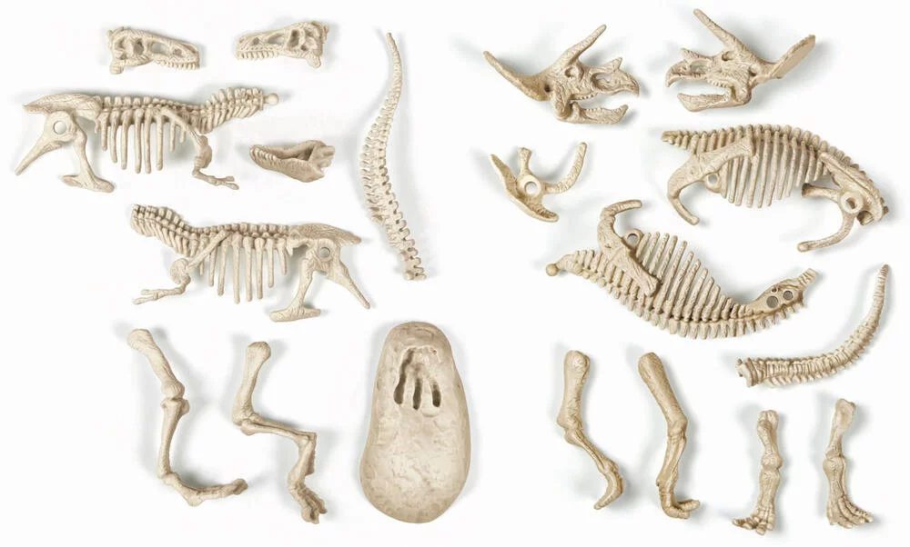 SCIENCE & JEU - ARCHEO LUDIC - T-REX & TIRCERATOPS