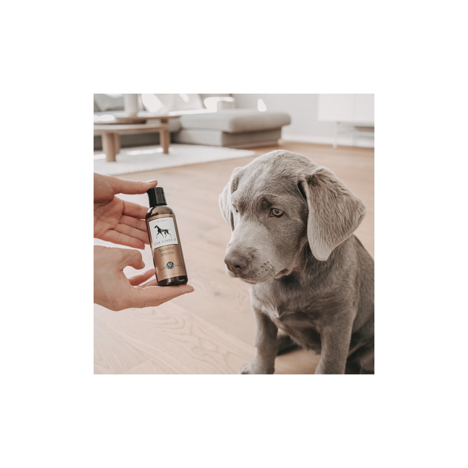 LILA LOVES IT Shampoo Sensitive  - 250 ml