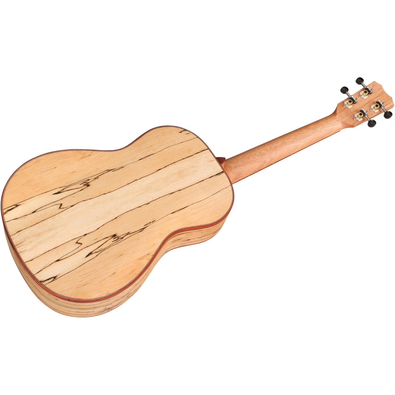 Cordoba 24B Spruce bariton ukelele