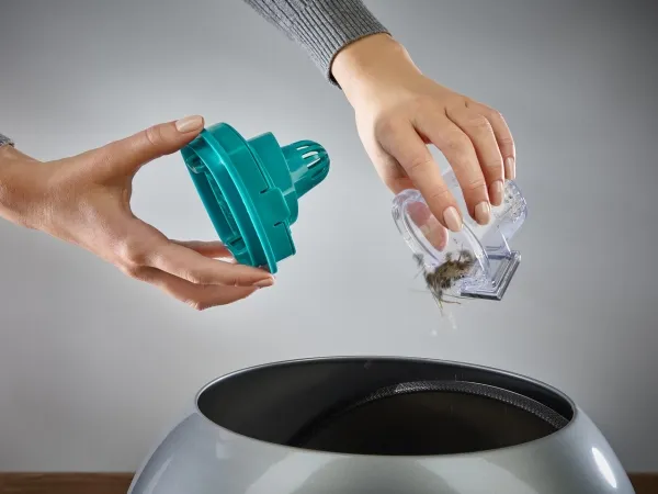 LEIFHEIT Regulus PowerVac - Støvsuger - stav - uden pose