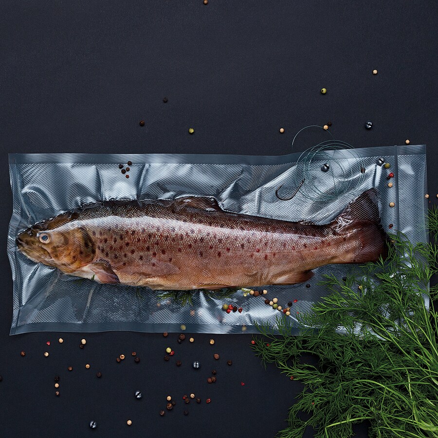 WILFA Vakuumiergerät TROUT, 100W, VS-0812B, schwarz