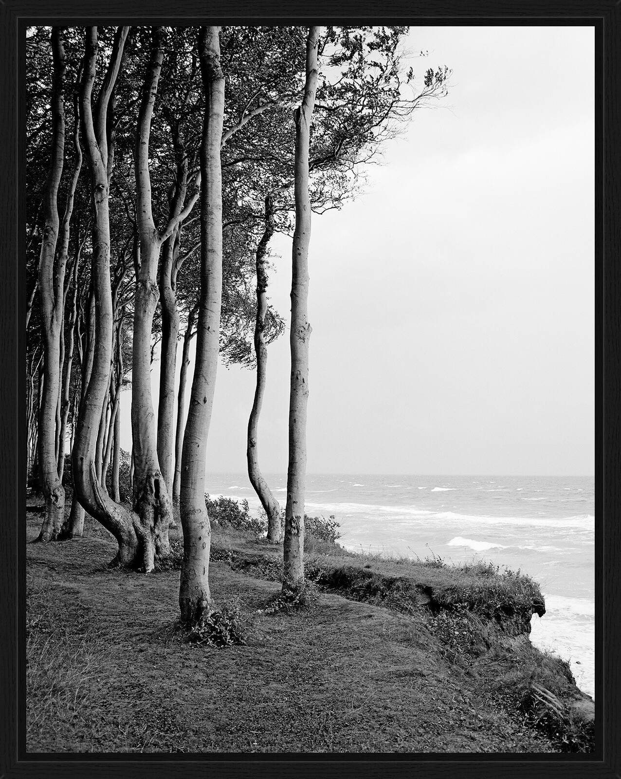 Kleiner Wohld by Ralph Von Kaufmann - Limited Edition. Edition of: 150. Signed.