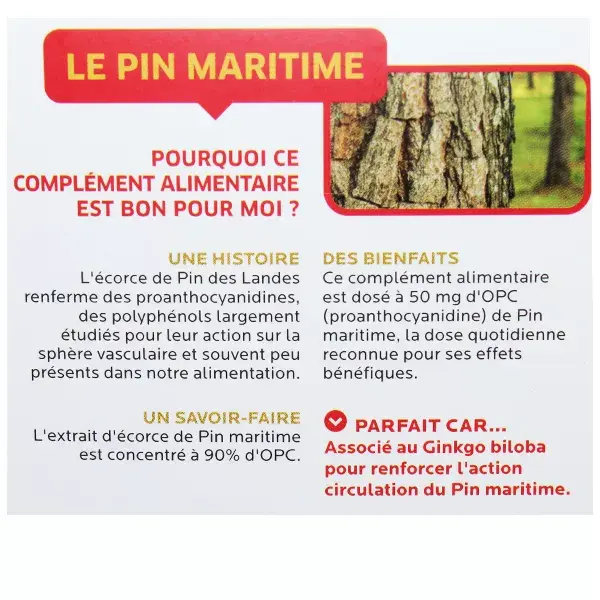 Fitofom Pinheiro Marítimo 20 cápsulas vegetais