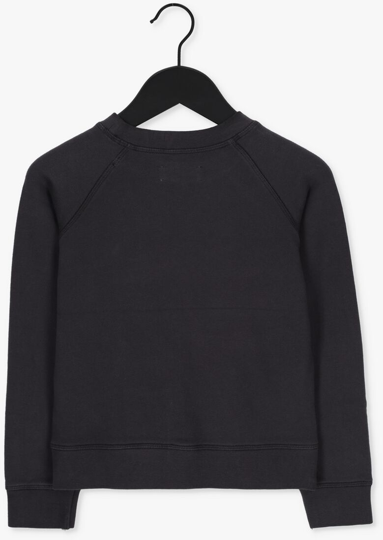 ZADIG & VOLTAIRE zwarte zadig & voltaire sweater x15346