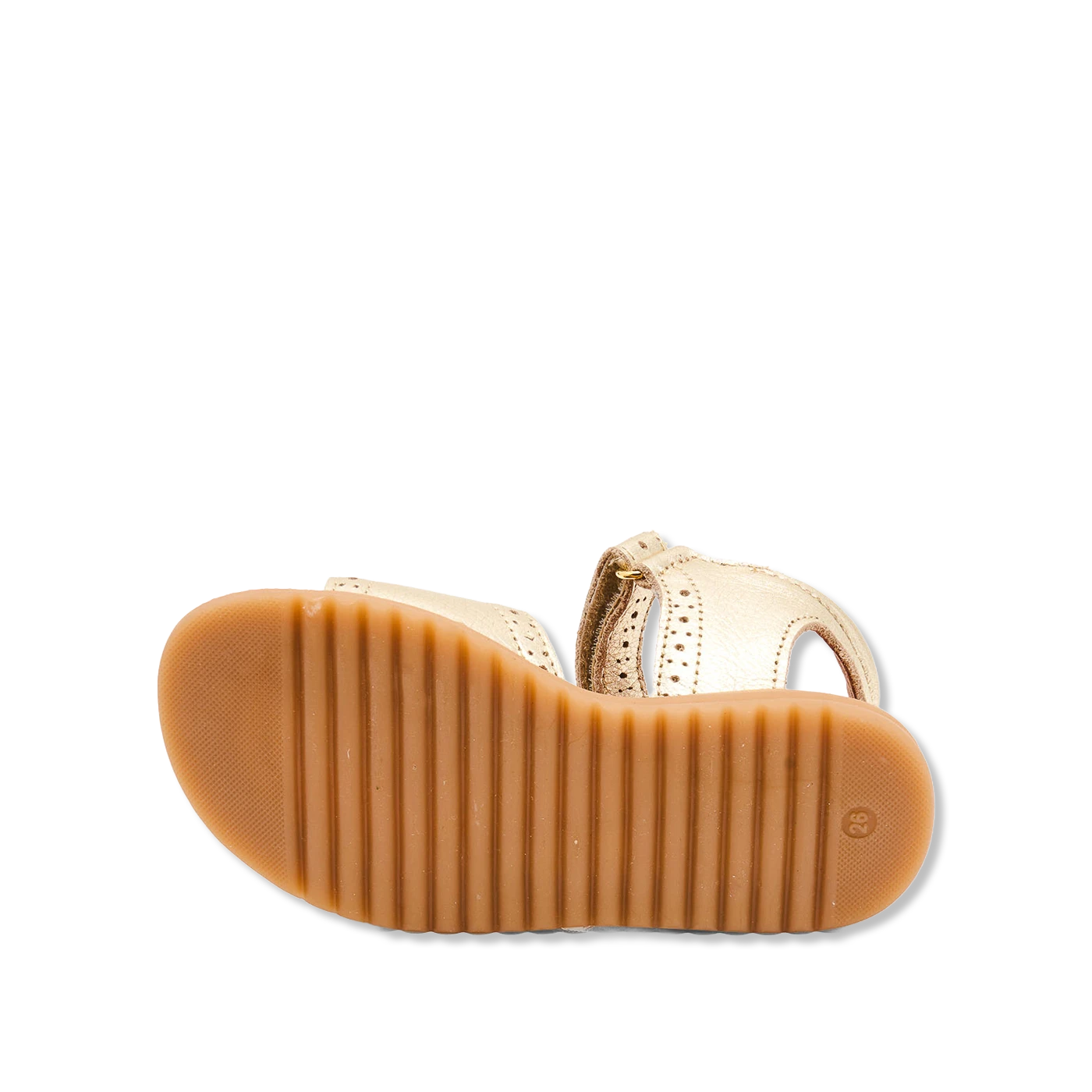 Andrea Sandaler
