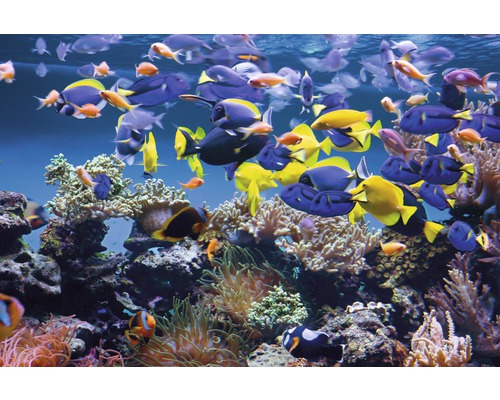 Vliesbehang 18646 Aquarium 7-delige set 350 x 260 cm