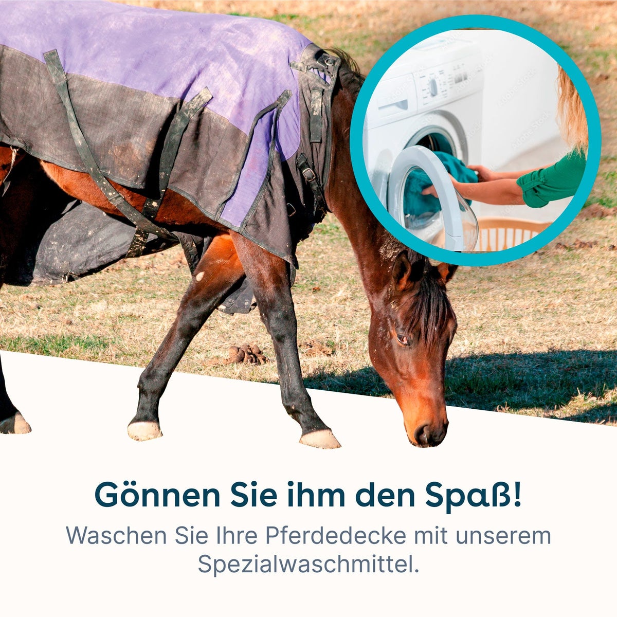 eco:fy Paardendeken Wasmiddel • Tapijtreiniger, dekenwasmiddel voor synthetische stoffen en katoen