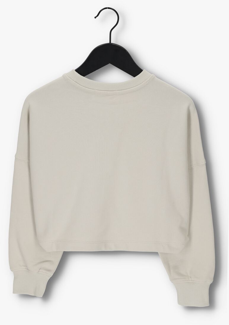 CALVIN KLEIN beige calvin klein sweater monogram off placed sweatshirt