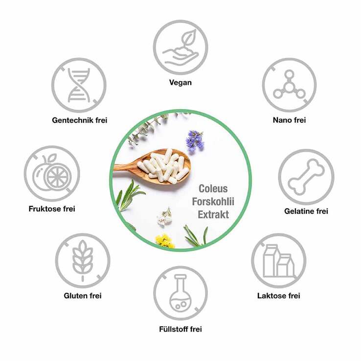 Forskolin 400 mg Coleus Forskohlii Extrakt vegan Kps, 90 St