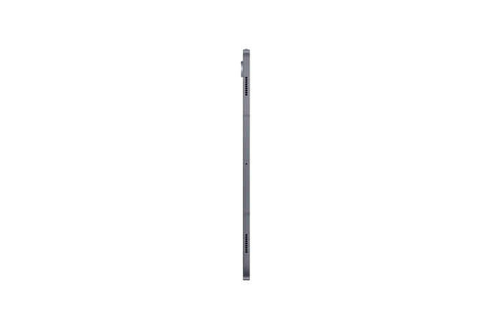 Samsung | Galaxy Tab S10  5G 256GB/12GB - Moonstone Gray