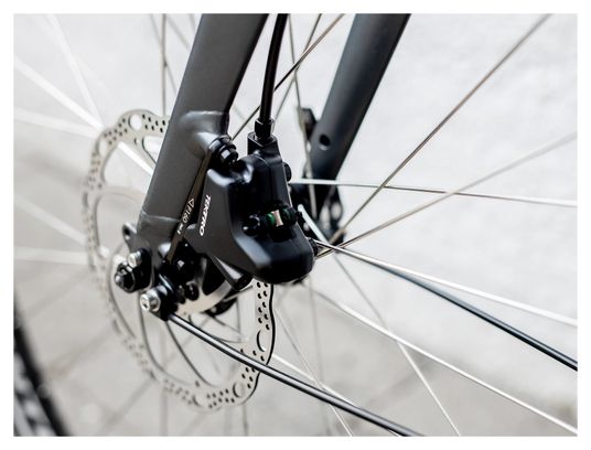 Vélo de Ville Trek FX 2 Disc EQ Shimano Acera/Altus 9V 700 mm Gris Lithium 2023