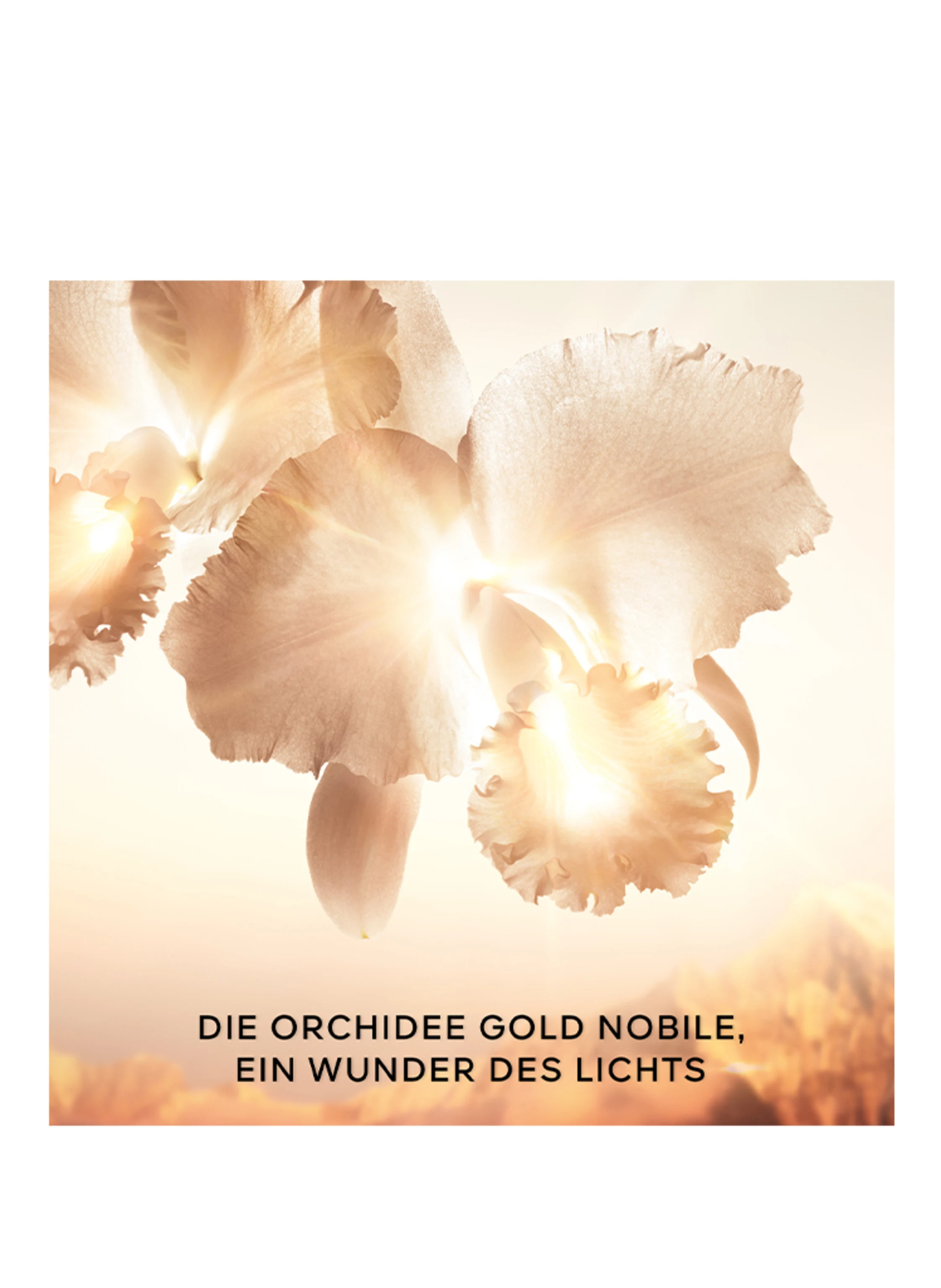 GUERLAIN ORCHIDÉE IMPÉRIALE GOLD NOBILE SERUM REFILL