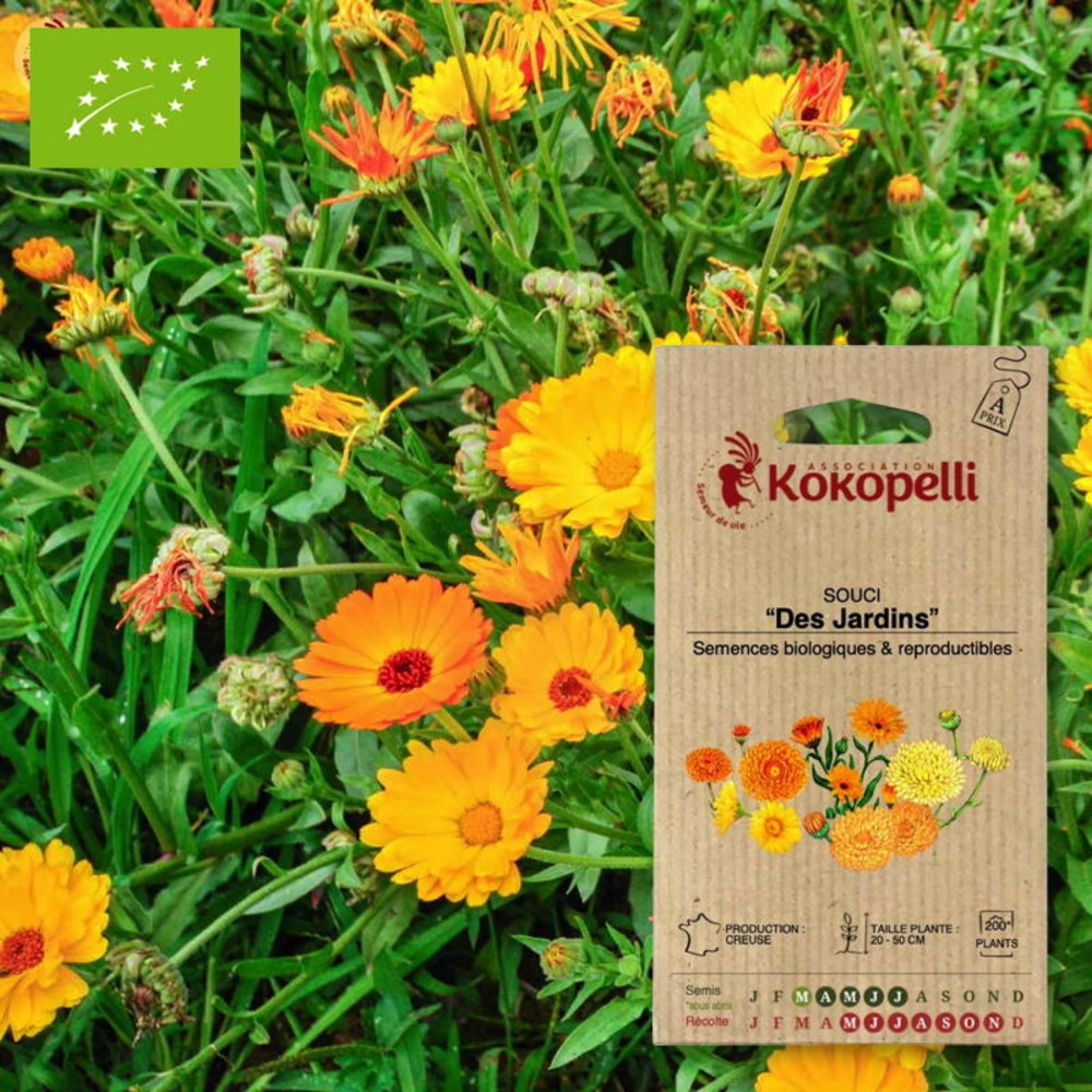 Sachet de graines bio à semersouci des jardins