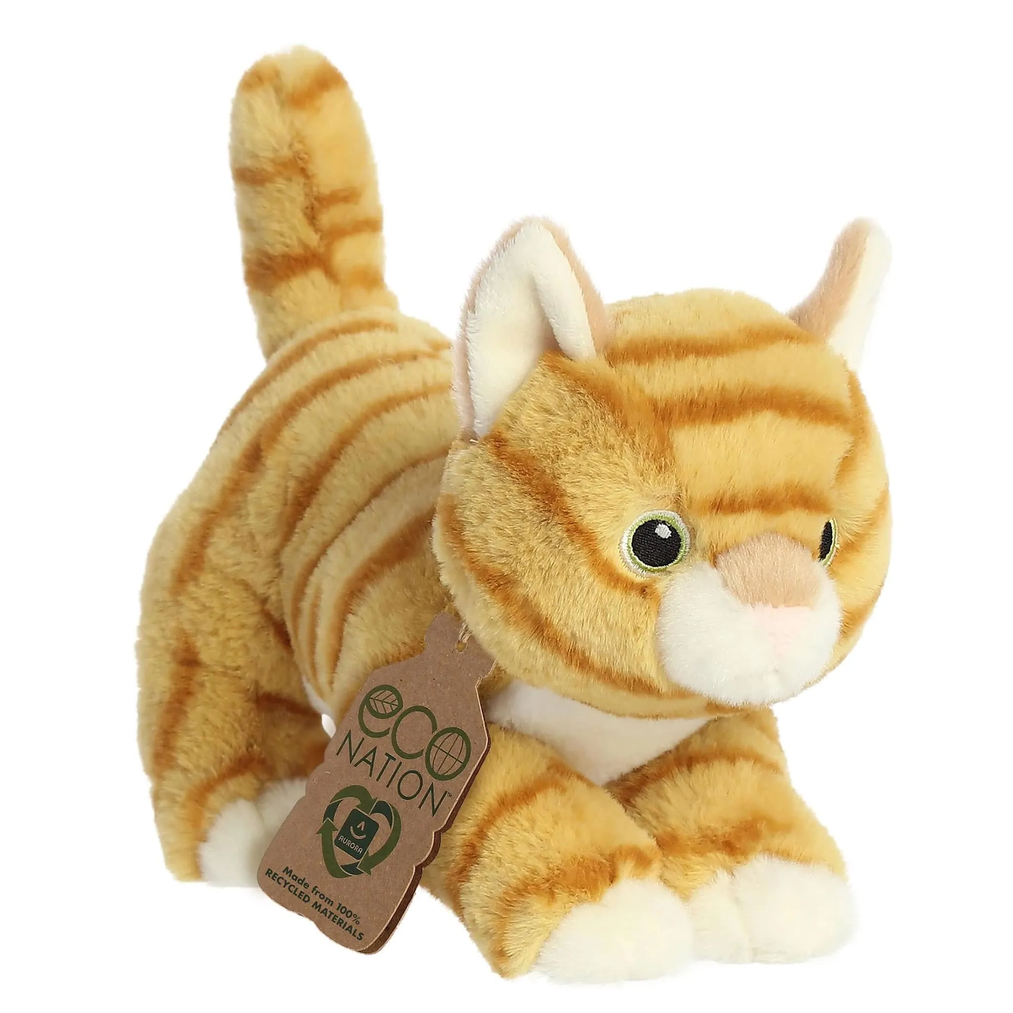 Aurora Chat Tabby 8.5