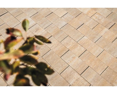 Betonnen terrasplaat iStone Alive zandsteen 40 x 20 x 4 cm