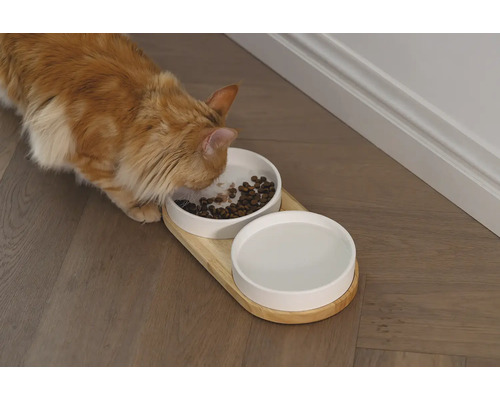 Dubbele kom ontworpen door Lotte, kattenservies, houten komstandaard ca. 34 x 17 x 5 cm met 2 keramische kommen, vaatwasserbestendig ca. 16 x 16 x 3,5 cm, elk 350 ml