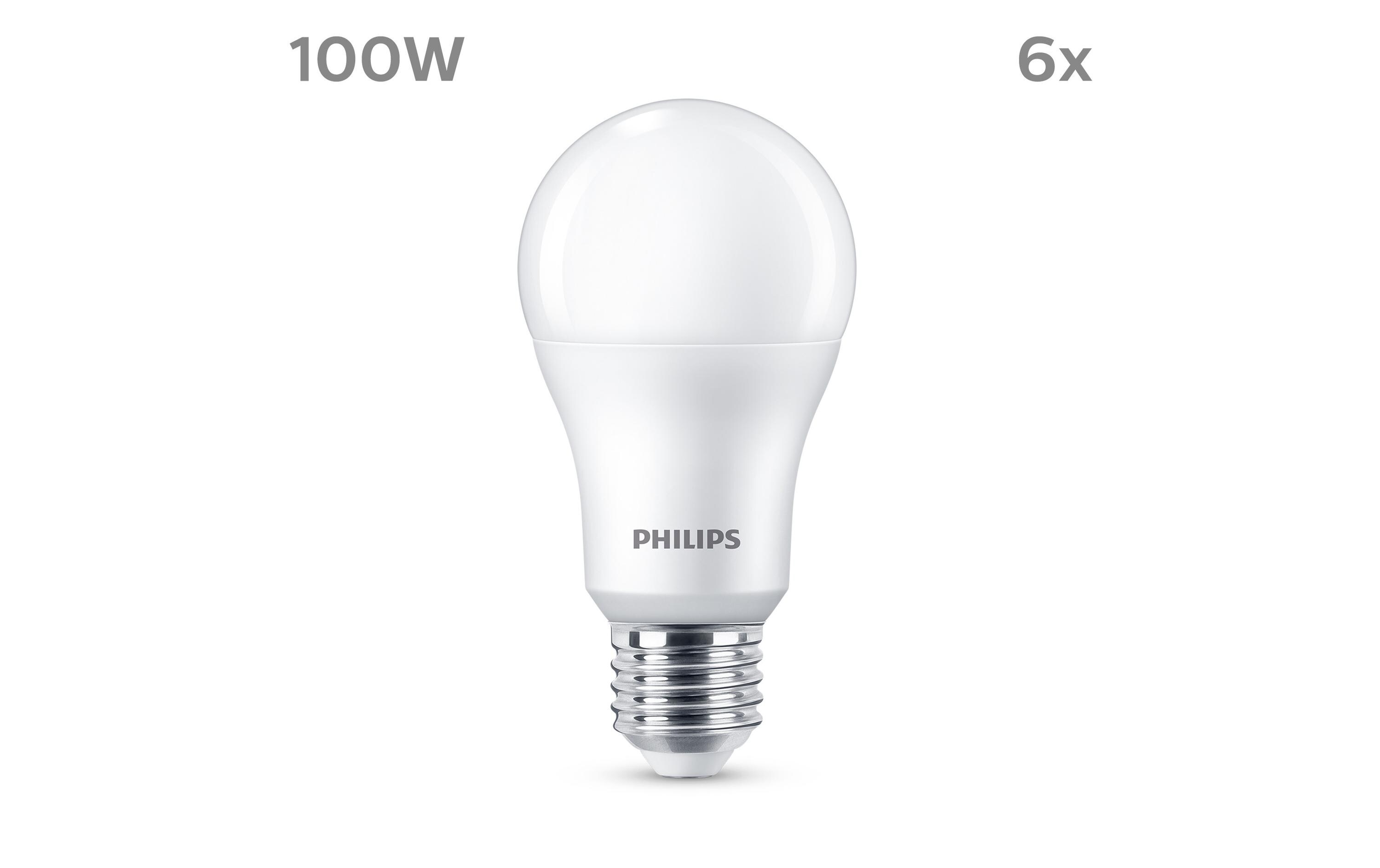 Lampe LED 100W A67 E27 WW FR ND 6CT/6 EC WarmweissLED-Leuchtmittel