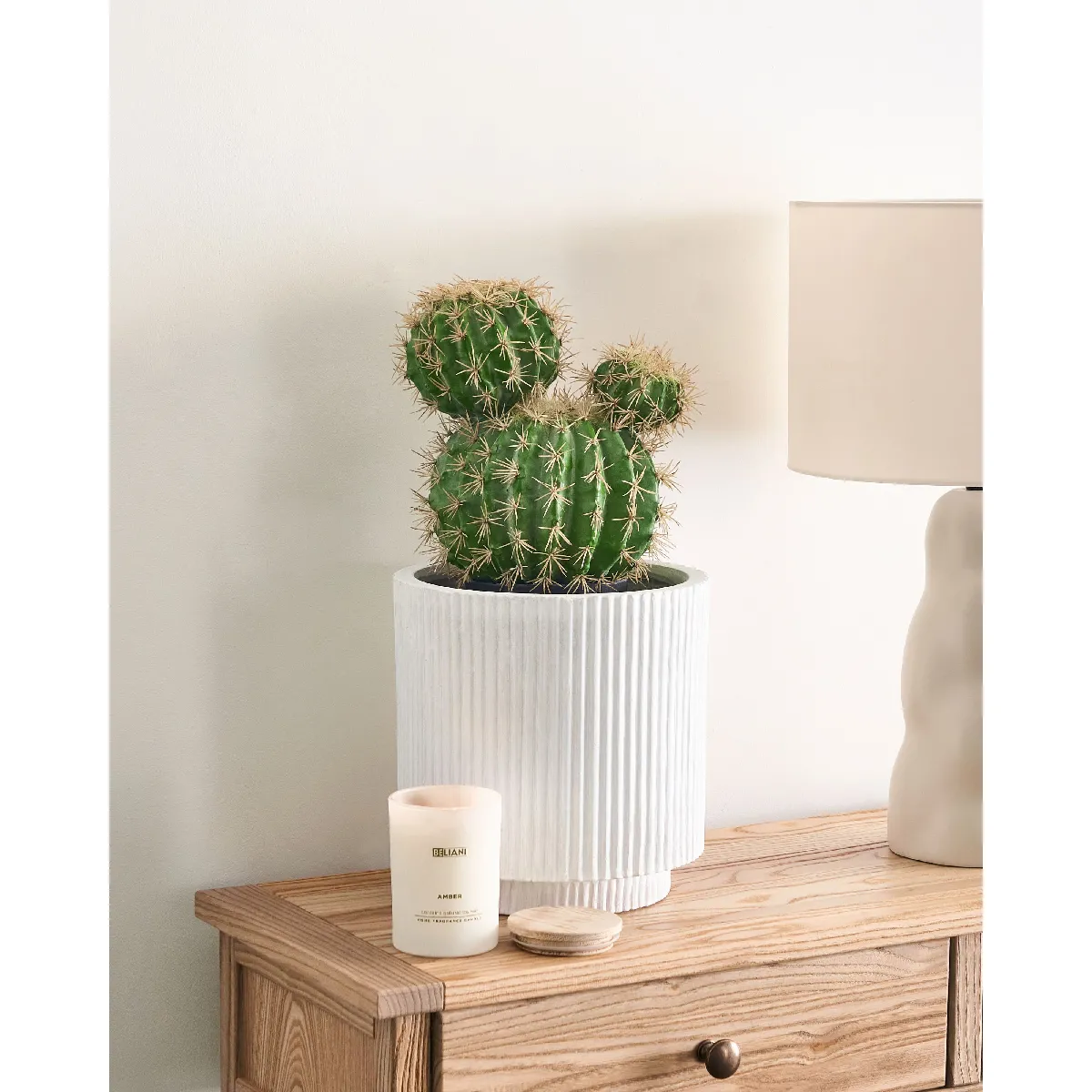 Beliani Plante Artificielle BALL CACTUS 33 cm